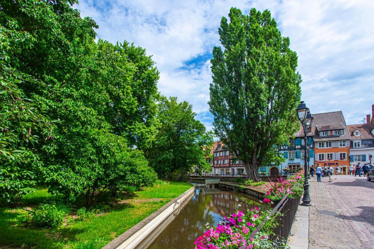 Appartamento Le Rapp - Centre Historique - Wifi - Tout Confort Colmar Esterno foto